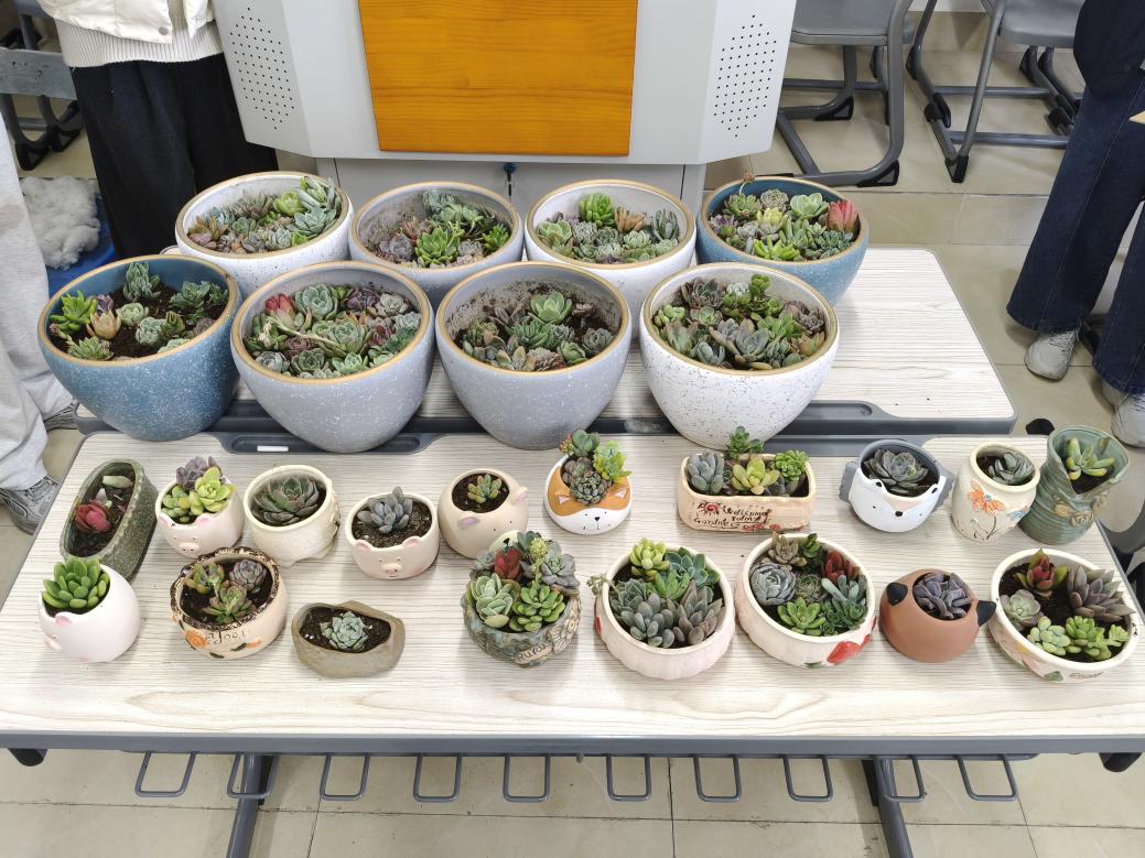 2026年3月13日海洋学院海浪计划——“植绿春日，微景匠心”活动在医教楼607展开（同学们种植作品的大合照）